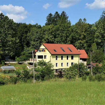 Apartmaji Maln Доленьське-Топлице Екстер'єр фото