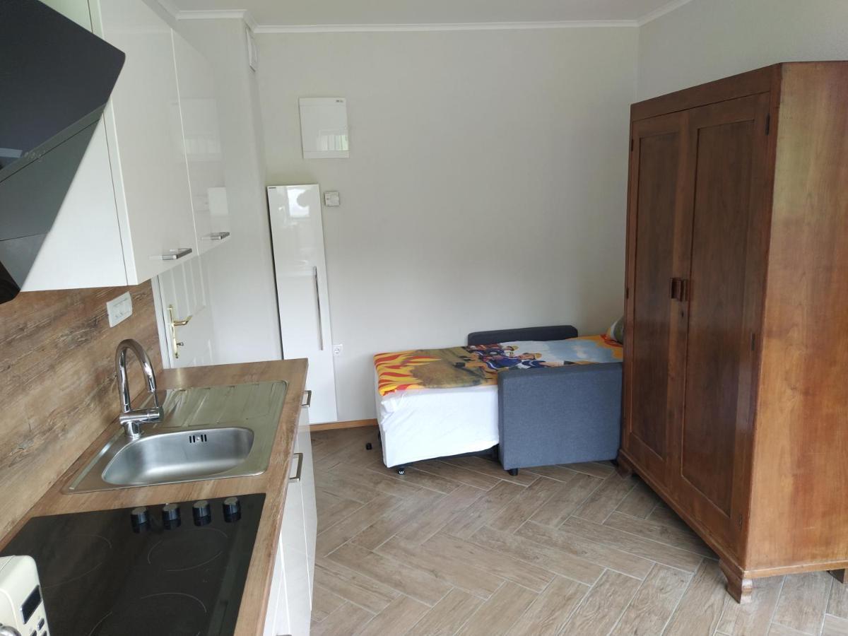 Apartmaji Maln Доленьське-Топлице Екстер'єр фото